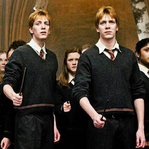 Meet your Posher, Greyson